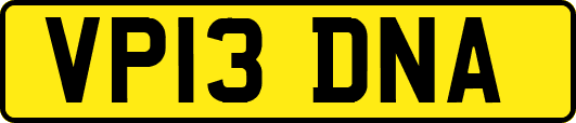 VP13DNA