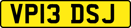VP13DSJ