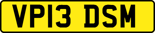 VP13DSM