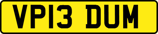 VP13DUM