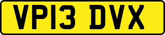 VP13DVX