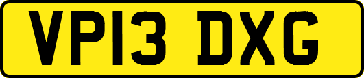 VP13DXG