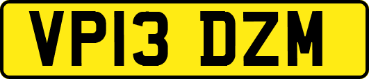 VP13DZM