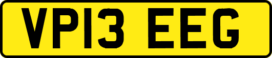 VP13EEG