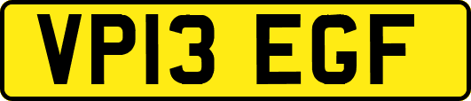 VP13EGF
