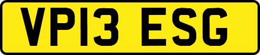 VP13ESG
