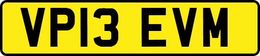 VP13EVM