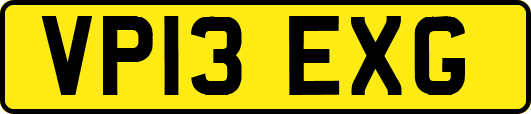 VP13EXG