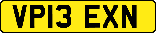 VP13EXN
