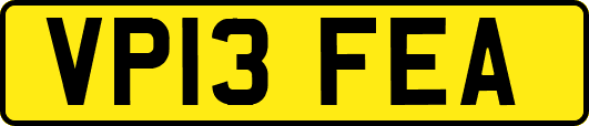 VP13FEA