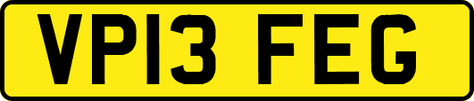 VP13FEG