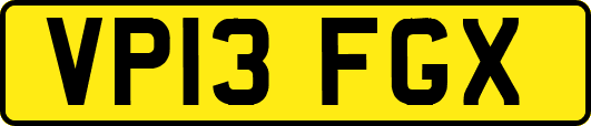 VP13FGX