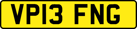 VP13FNG
