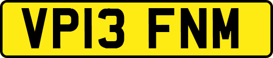 VP13FNM