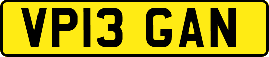 VP13GAN