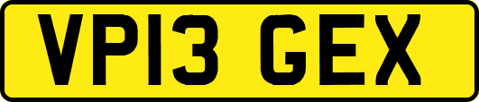 VP13GEX
