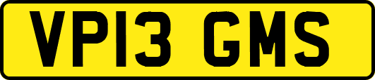VP13GMS