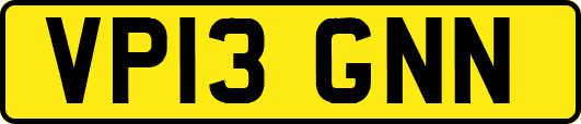 VP13GNN