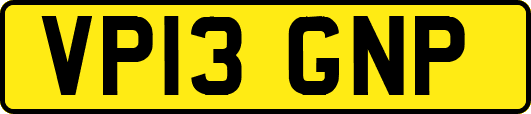 VP13GNP