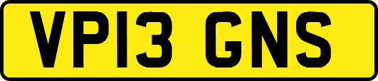 VP13GNS