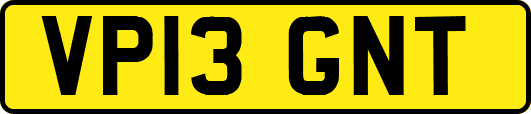 VP13GNT