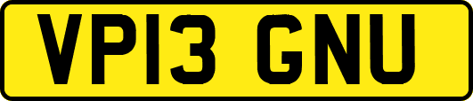 VP13GNU
