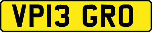 VP13GRO