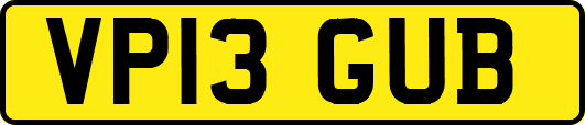 VP13GUB