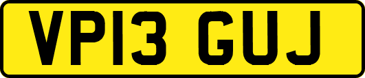 VP13GUJ