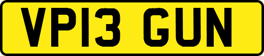 VP13GUN