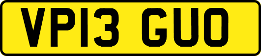 VP13GUO