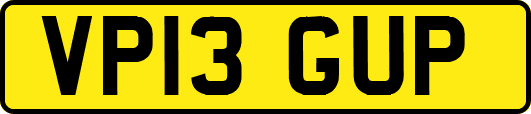 VP13GUP