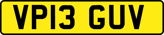 VP13GUV
