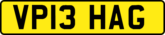 VP13HAG