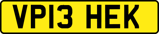 VP13HEK