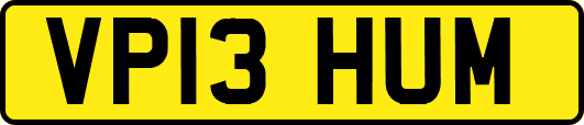 VP13HUM