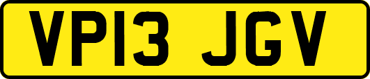 VP13JGV