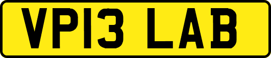 VP13LAB