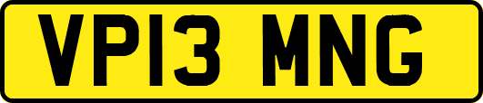 VP13MNG
