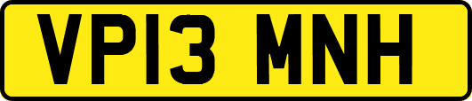 VP13MNH