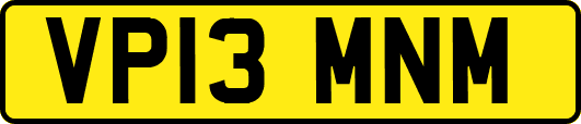 VP13MNM