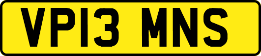 VP13MNS