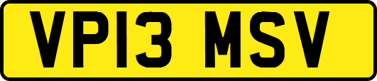 VP13MSV
