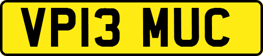 VP13MUC