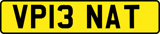 VP13NAT