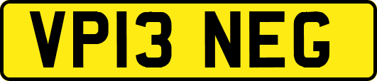 VP13NEG