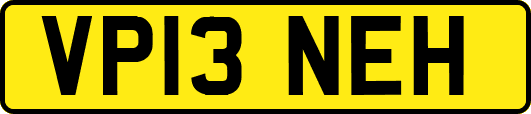VP13NEH