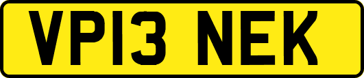 VP13NEK