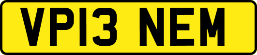 VP13NEM