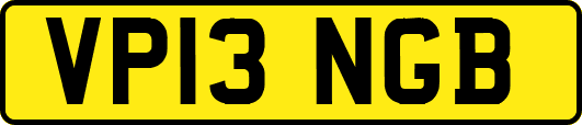 VP13NGB